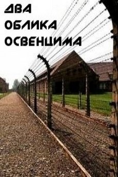 Два облика Освенцима документальный фильм 2011 смотреть онлайн бесплатно